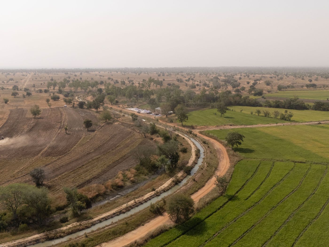 Irrigated farmland