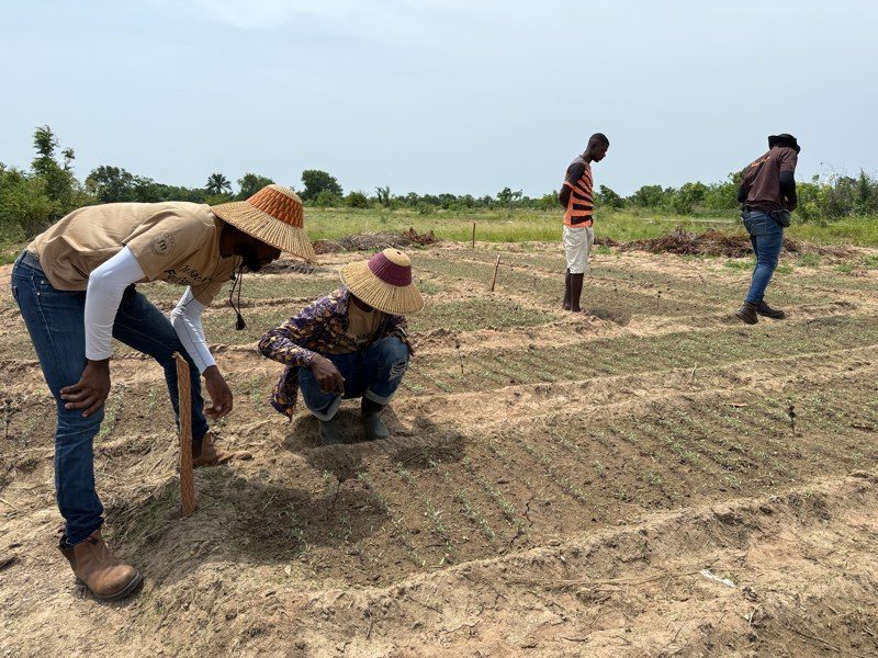 FarmMate field officers inspecting a newly planted field