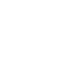 Network icon