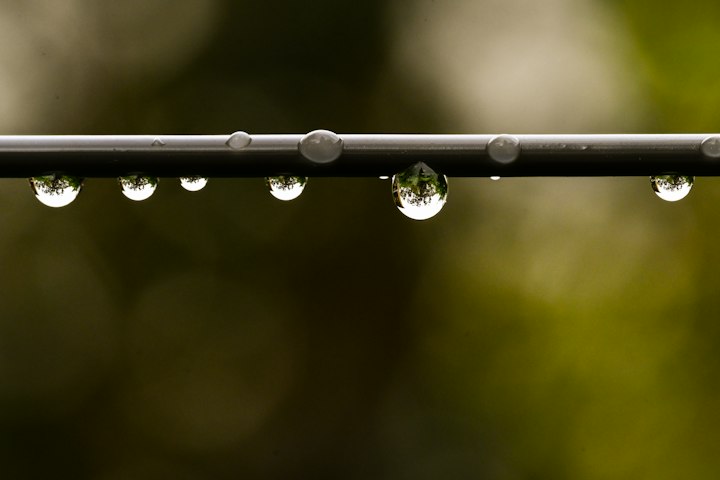 Picături de apă atârnând de un tub de irigare prin picurare