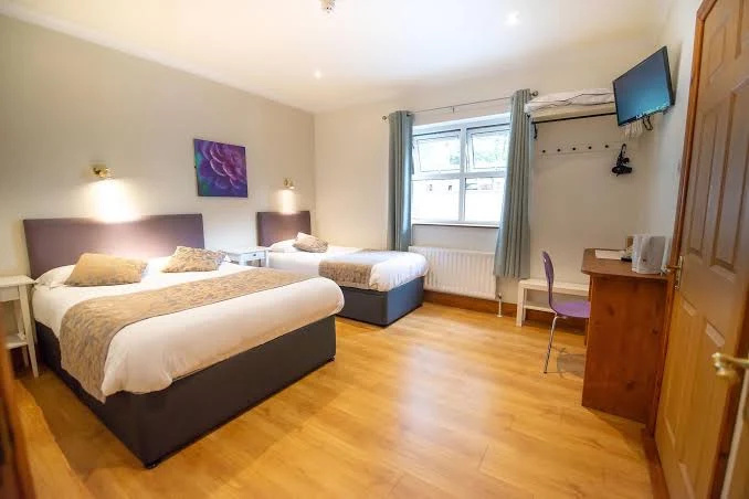 A bright hotel room with two beds featuring gray headboards and white bedding with brown decorative runners and pillows, a wooden floor, a window with light gray curtains, a wall-mounted TV, and a wooden desk with a purple chair and kettle.