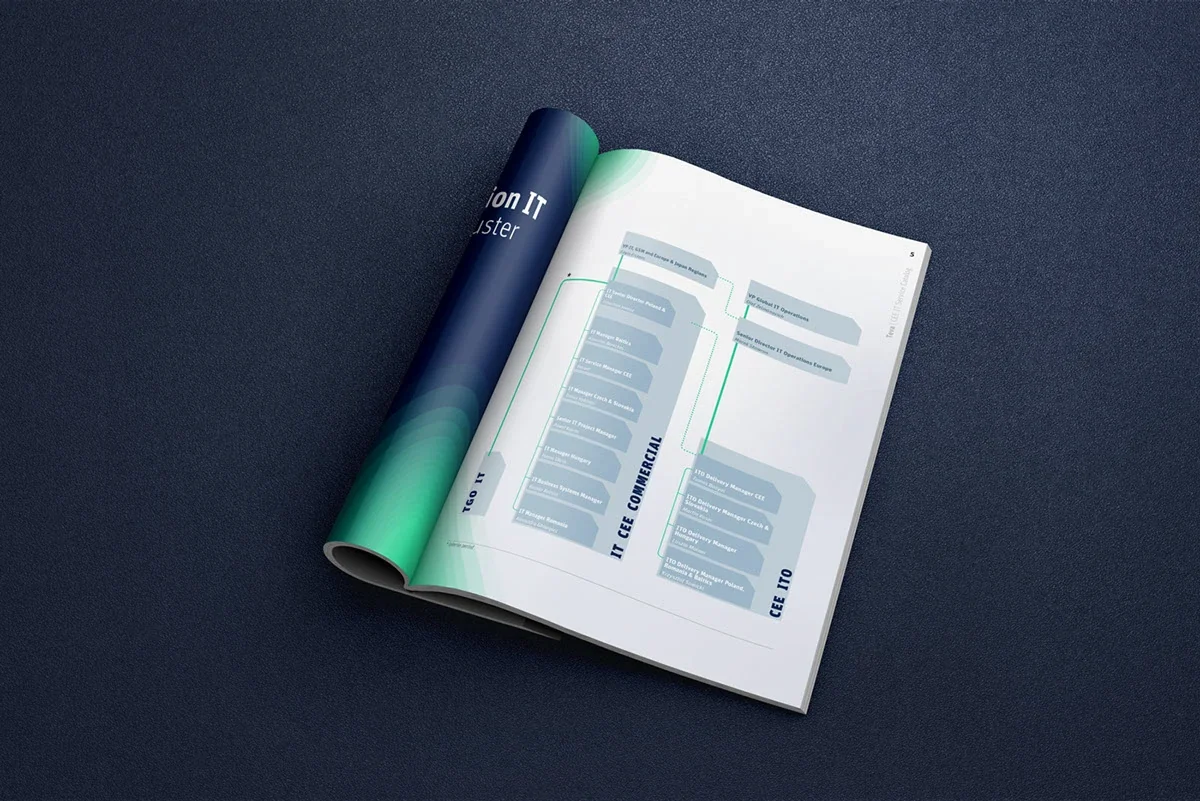 TEVA catalogue service information layout