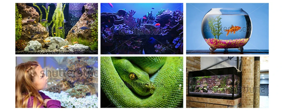 Aqua Magic aquarium inspiration and moodboard