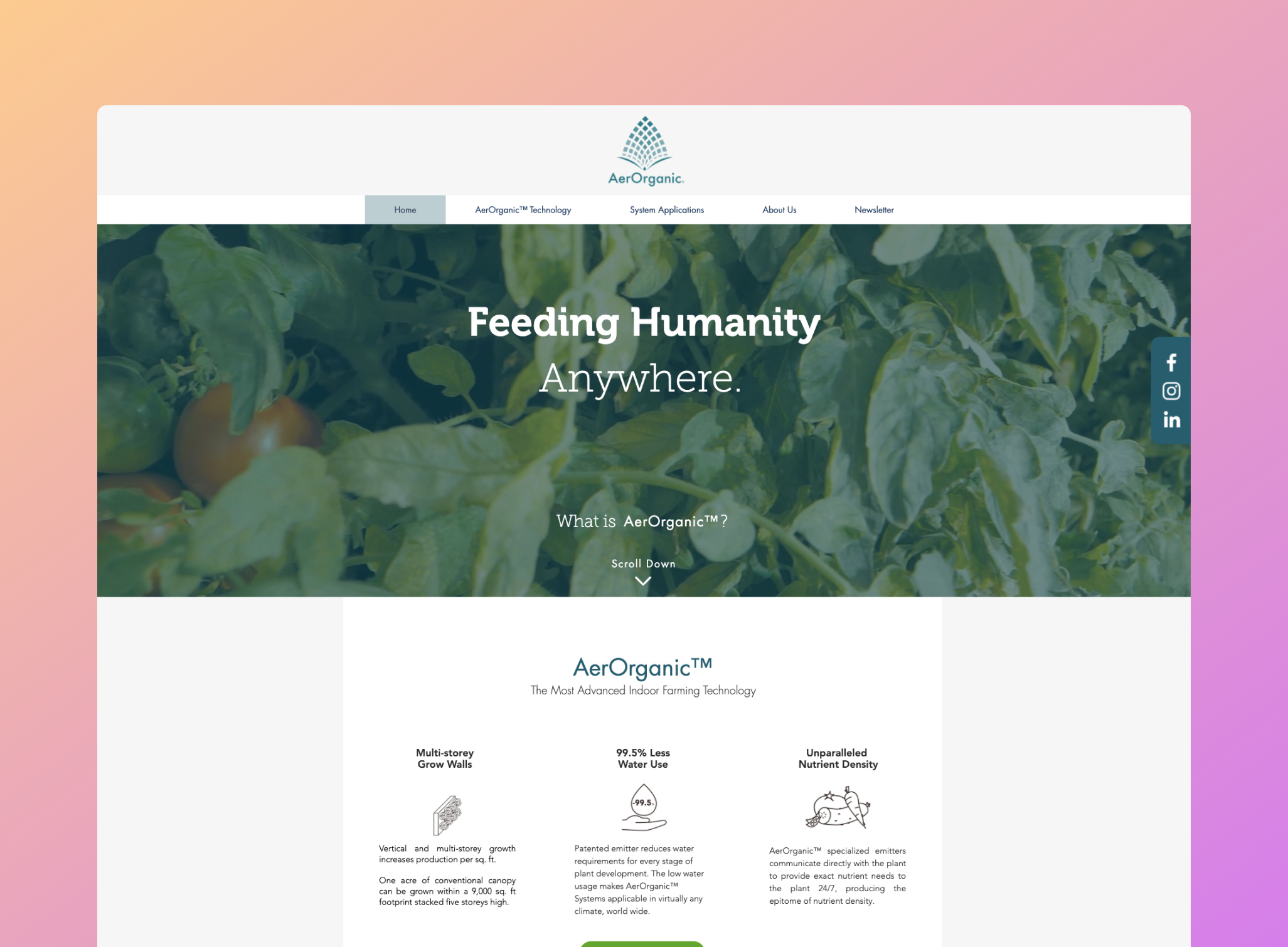 Aerorganic website design