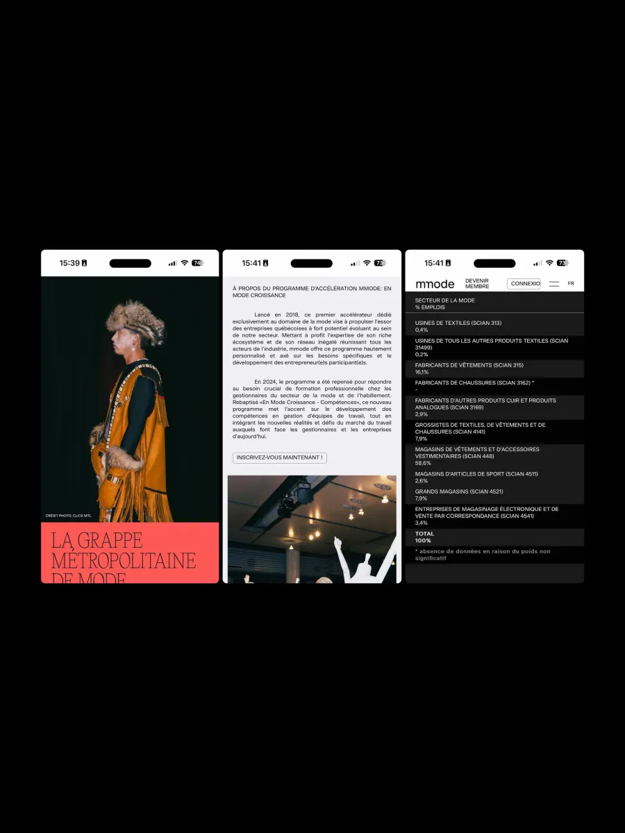 Mmode website, view 2 of 4