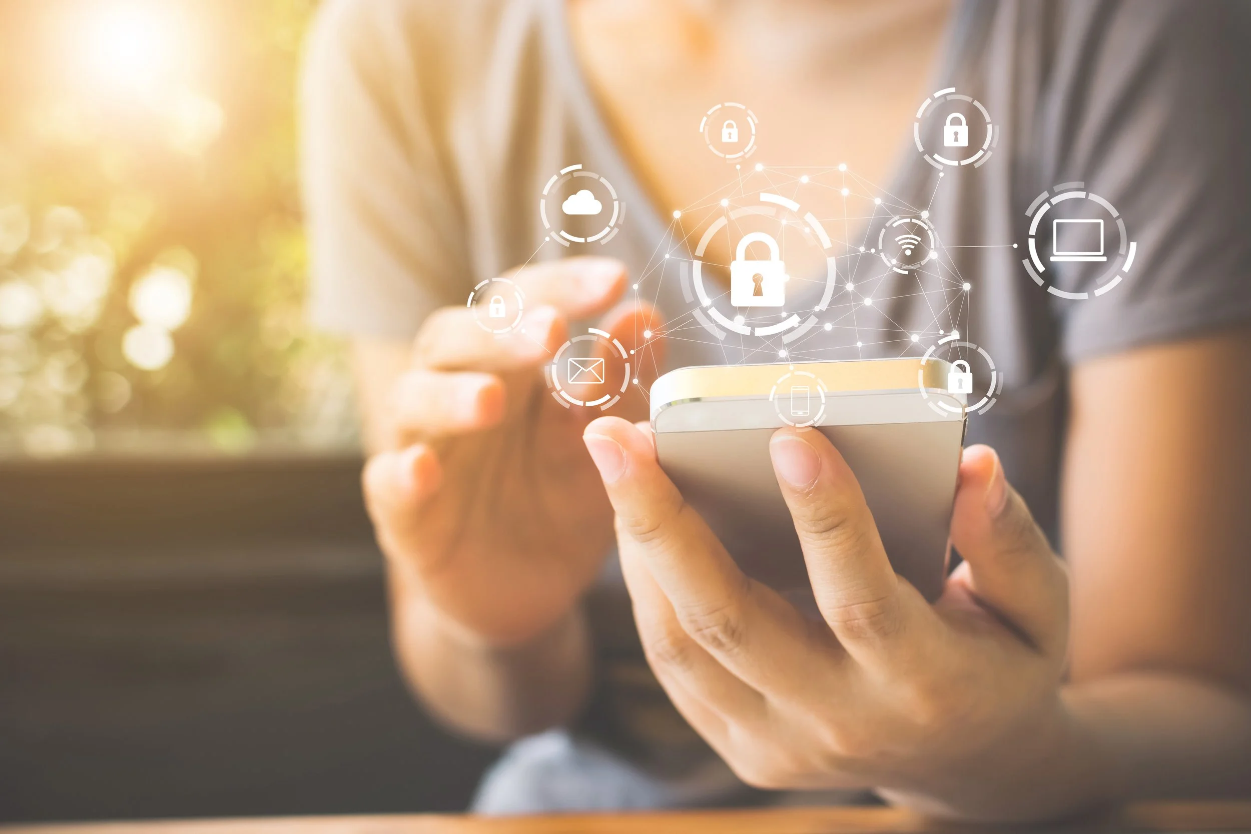 Data privacy frameworks – a primer