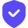 Shield check security icon