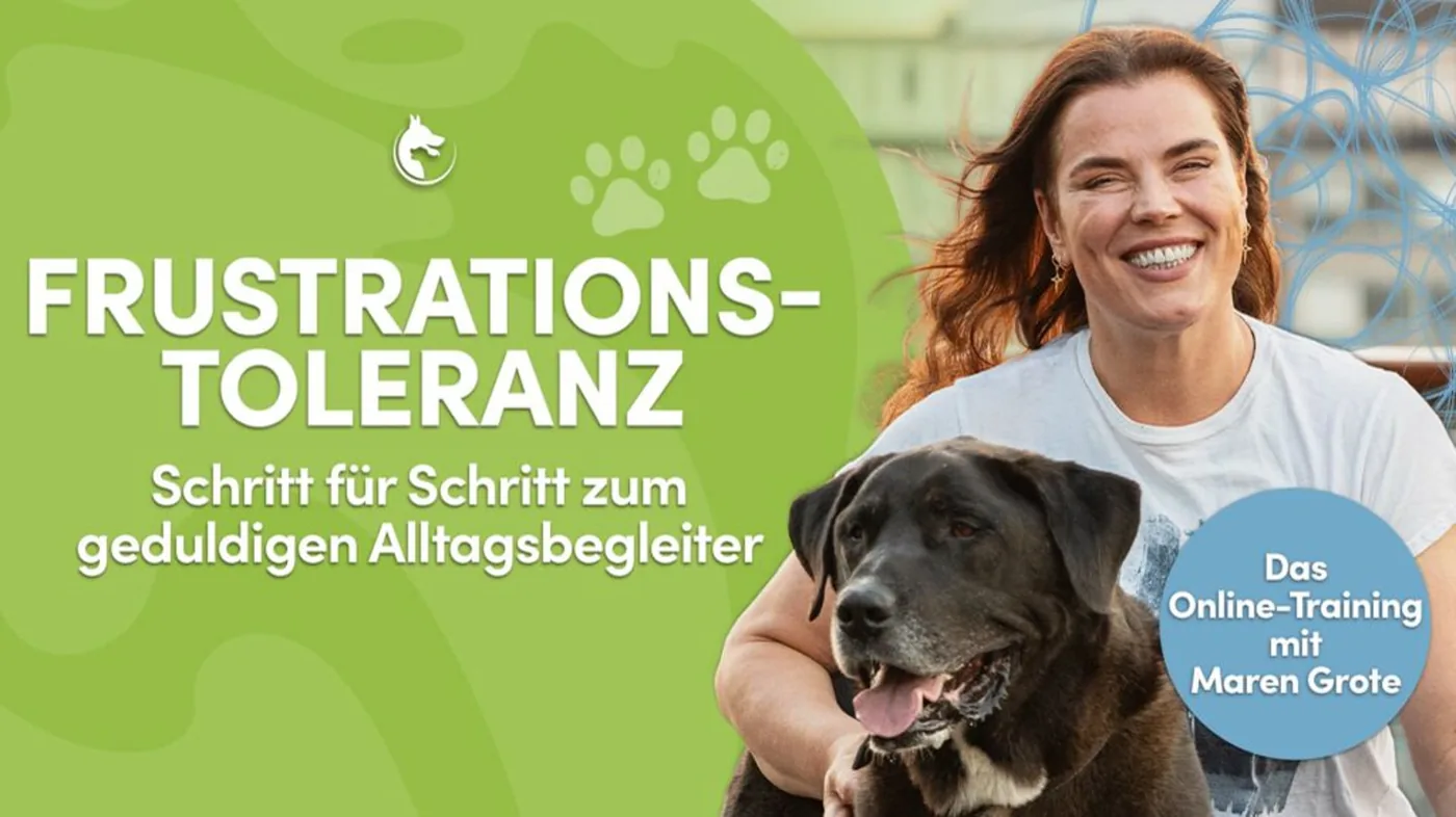 Frustrationstoleranz