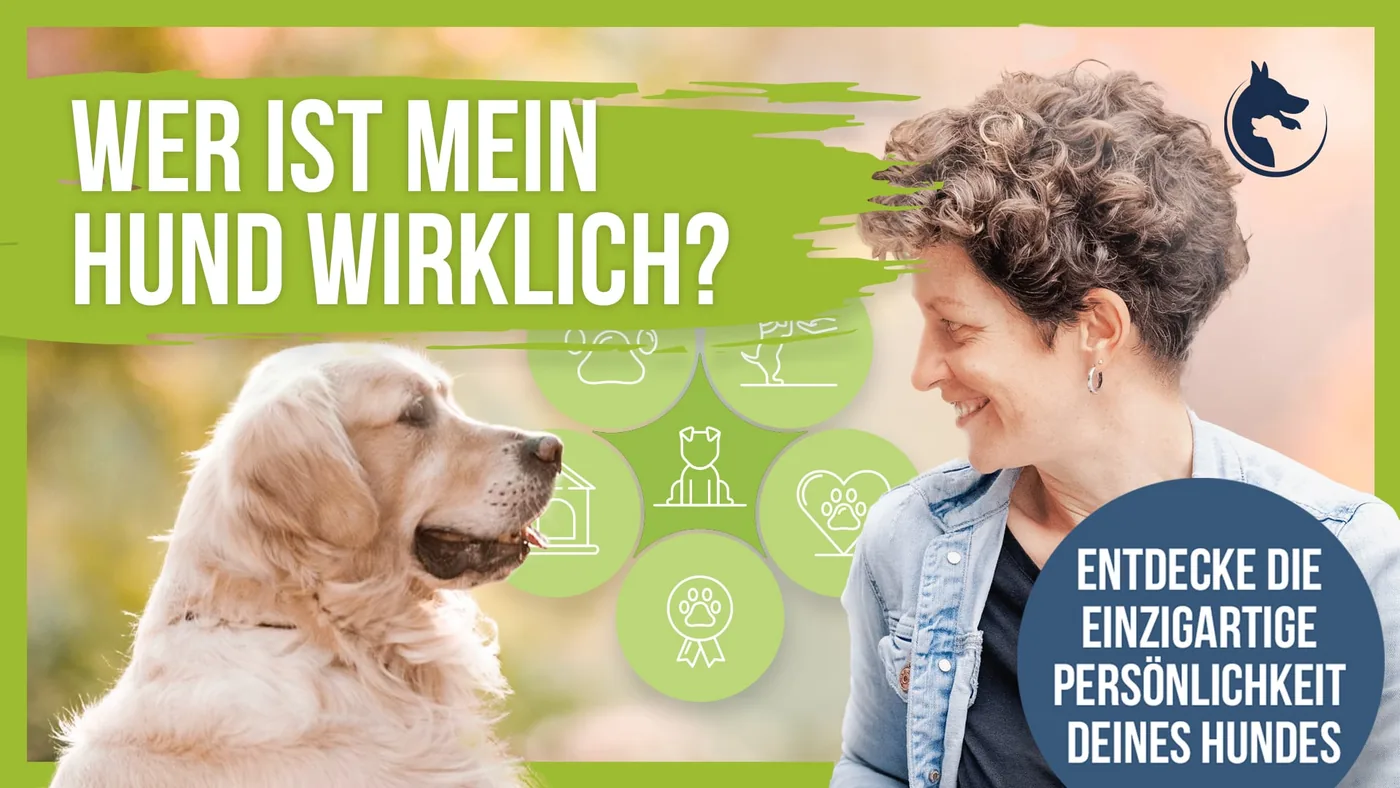 Wer ist mein Hund?