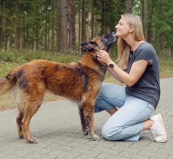 Mensch & Hund