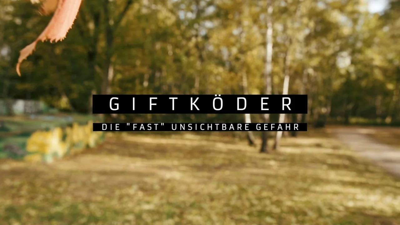 Das Anti-Giftköder-Training
