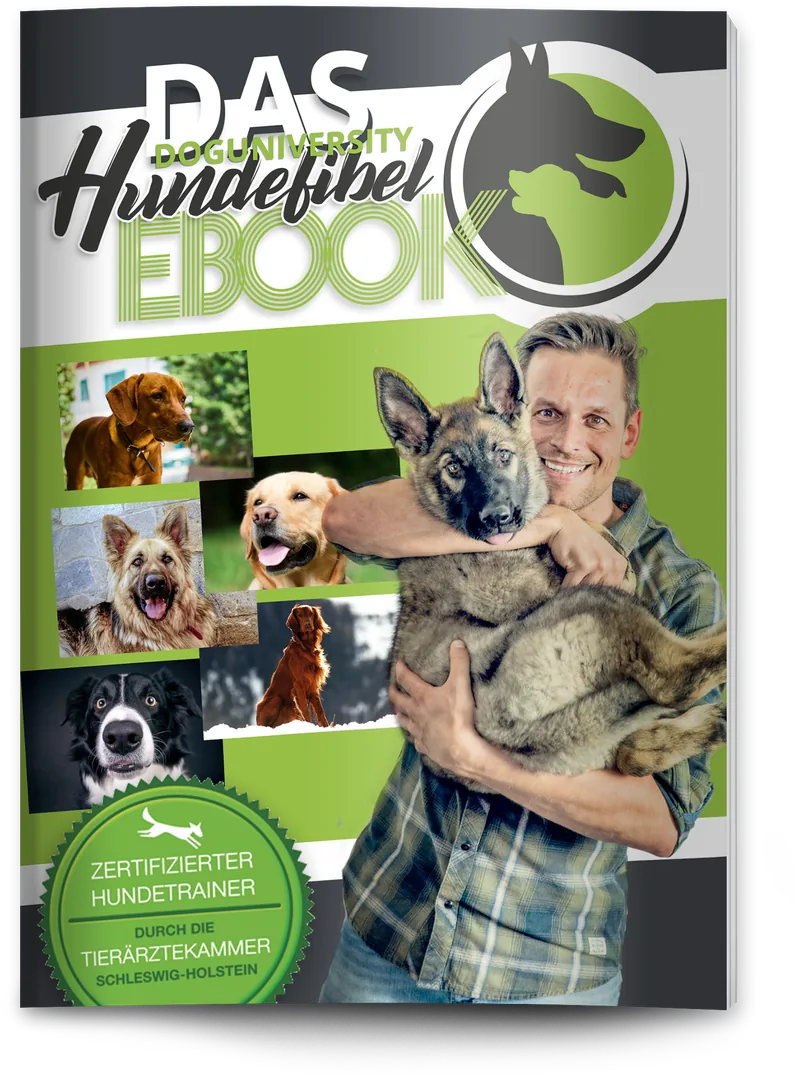 Cover der kostenlosen Hundefibel