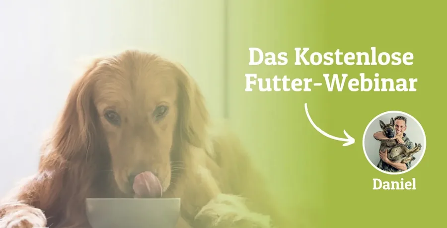 Kostenloses Futter-Webinar
