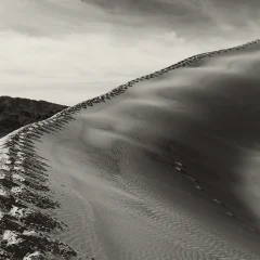 Kelso Dunes, Mojave, California. Photo: NPS, Joshua Tree National Park (public domain)