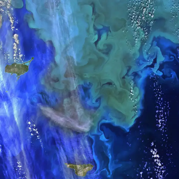 “Earth’s Aquarium”, Bering Sea