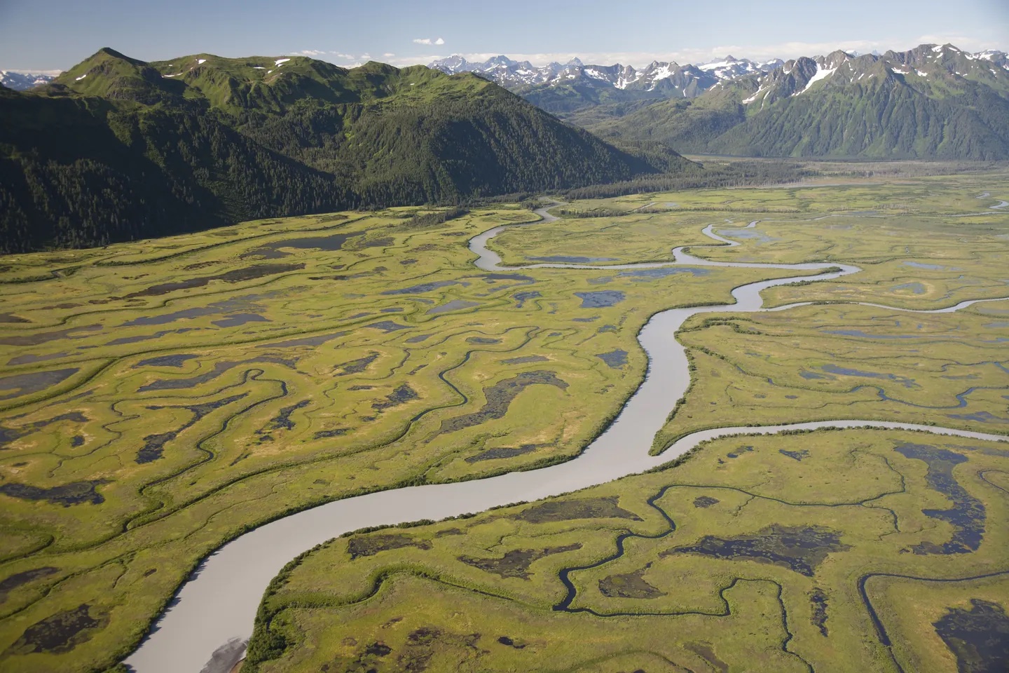 Copper River Delta from the air, Alaska