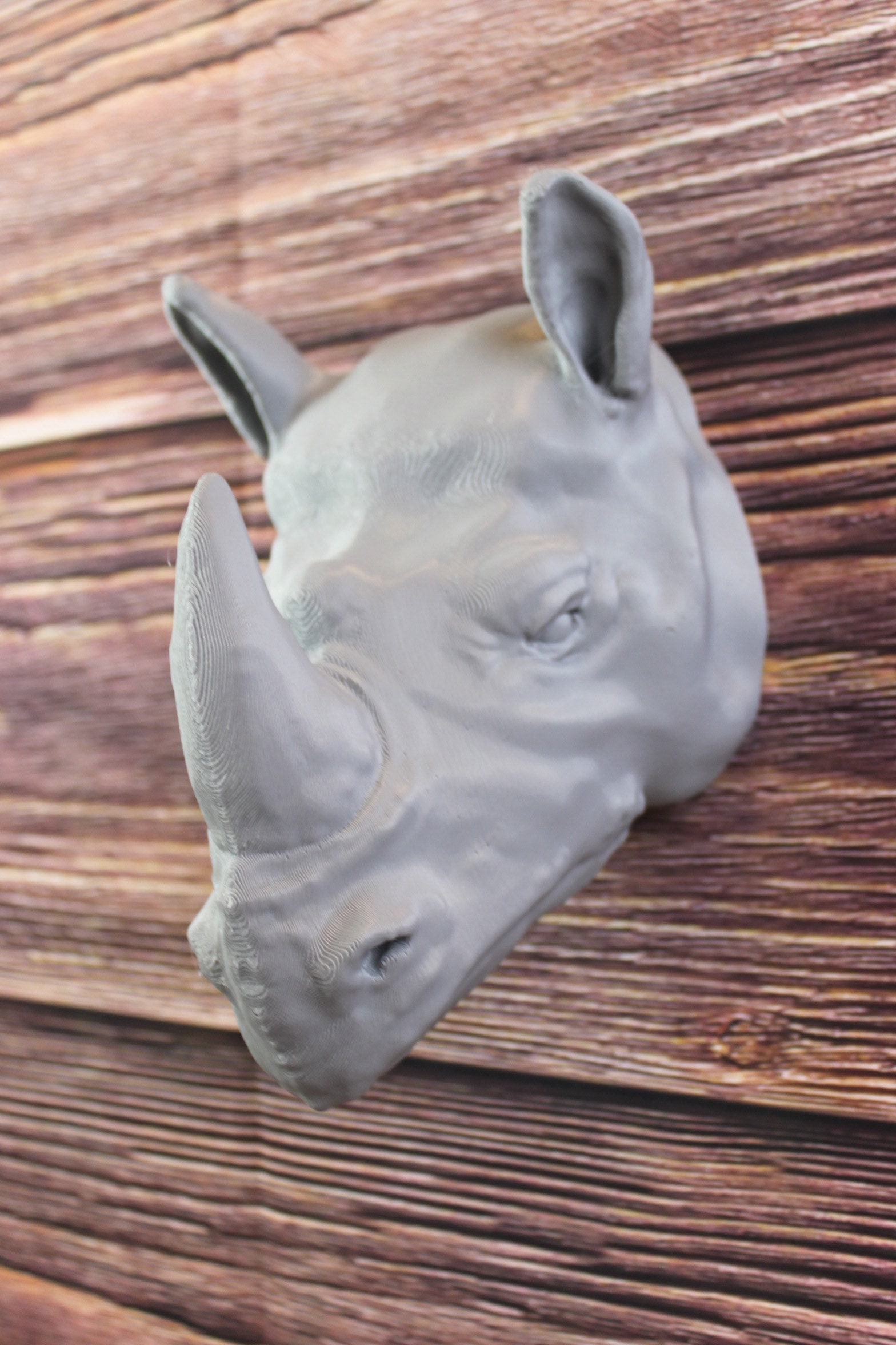 Medium Detailed Rhino Wall Decoration - Rhinosaurus