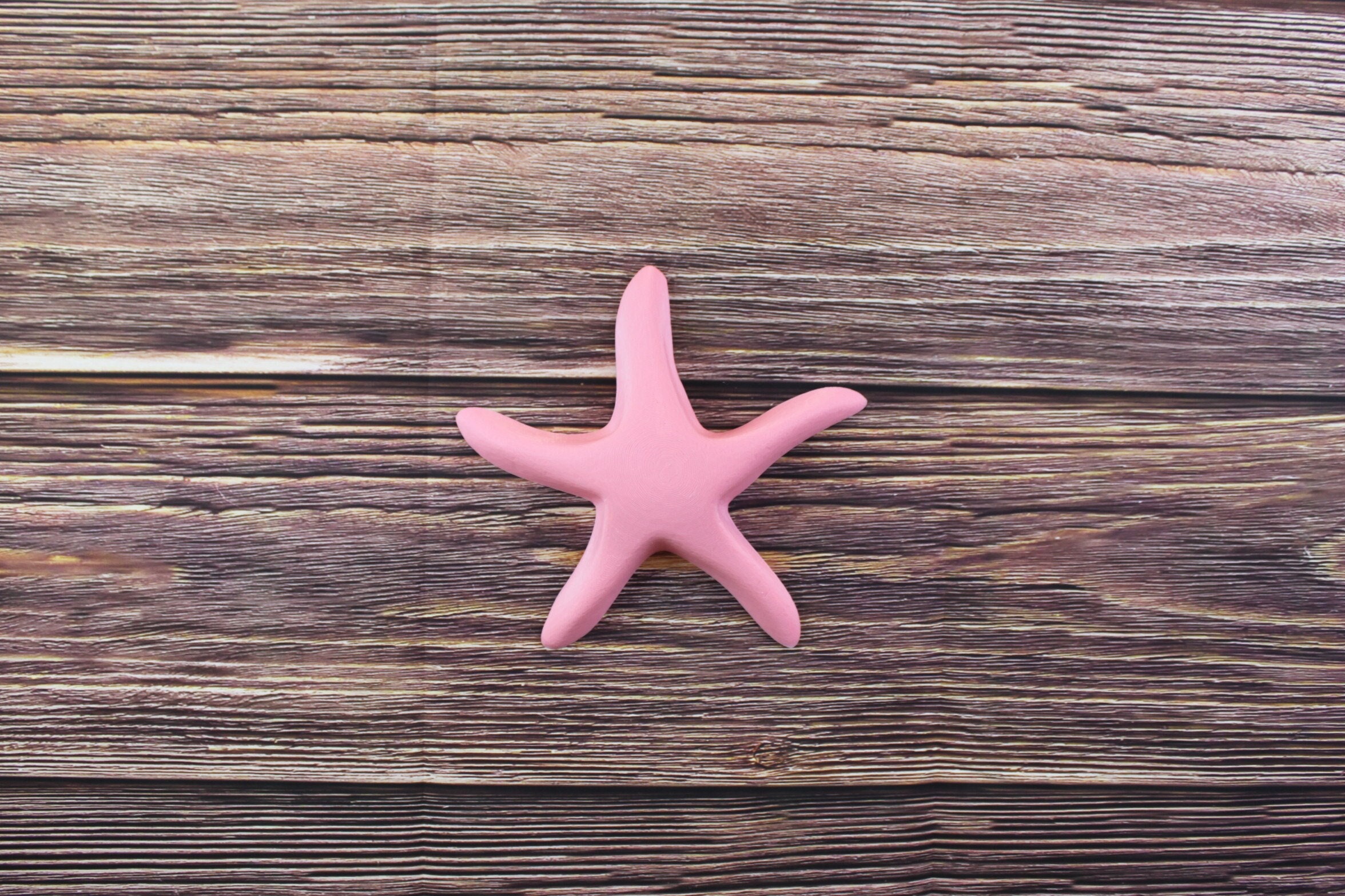 Starfish Wall Hanging Oceanic Decoration - Seascape Your Space!