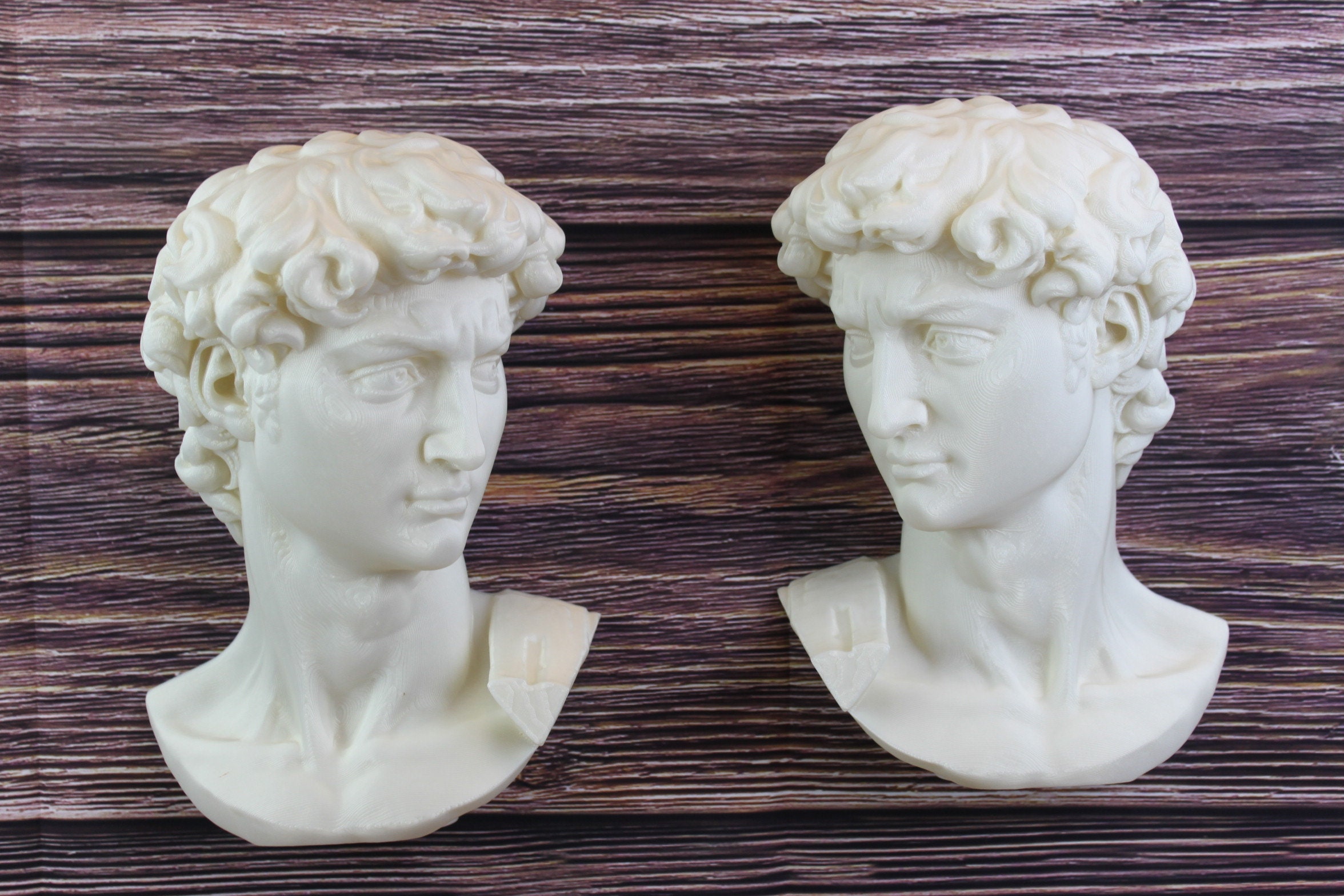 David (Michelangelo) Elegant Wall Bust - Variety Of Colors Available!