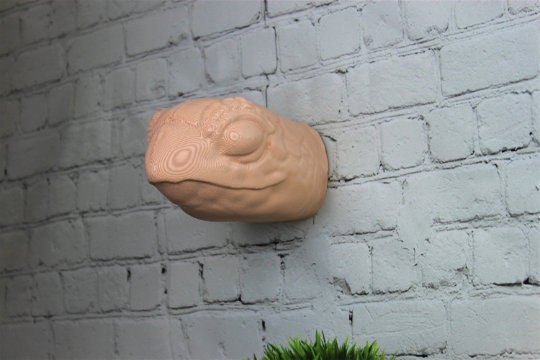 Detailed Sea Turtle Wall Head Modern Decor