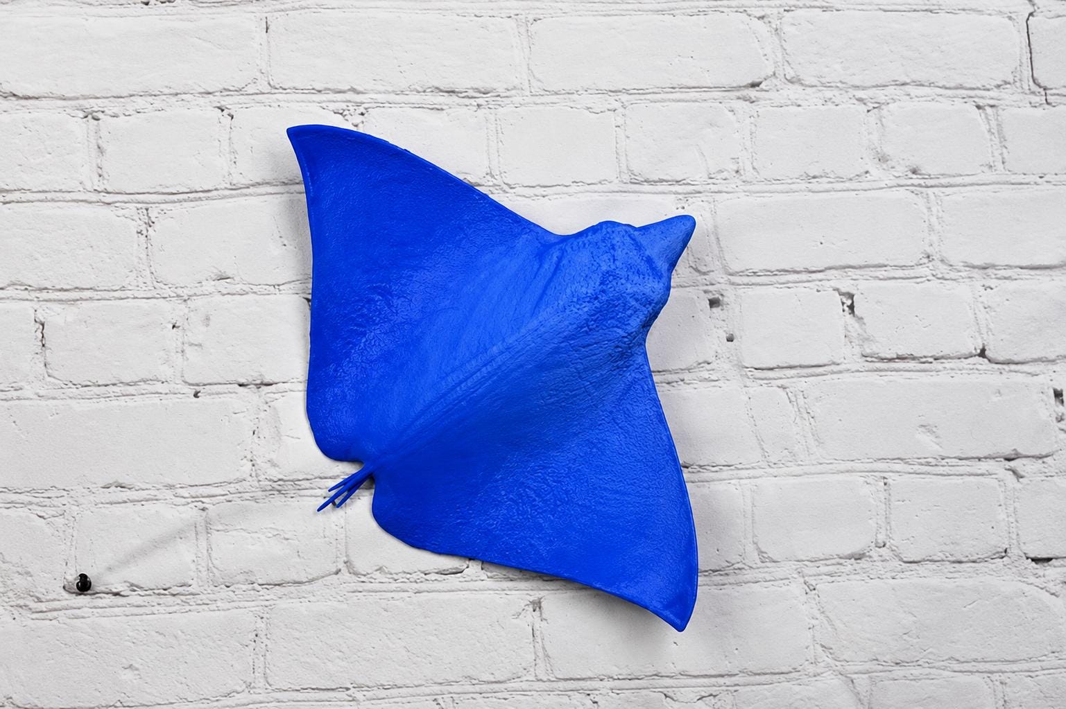 Medium Detailed Stingray Wall Head Modern Decor