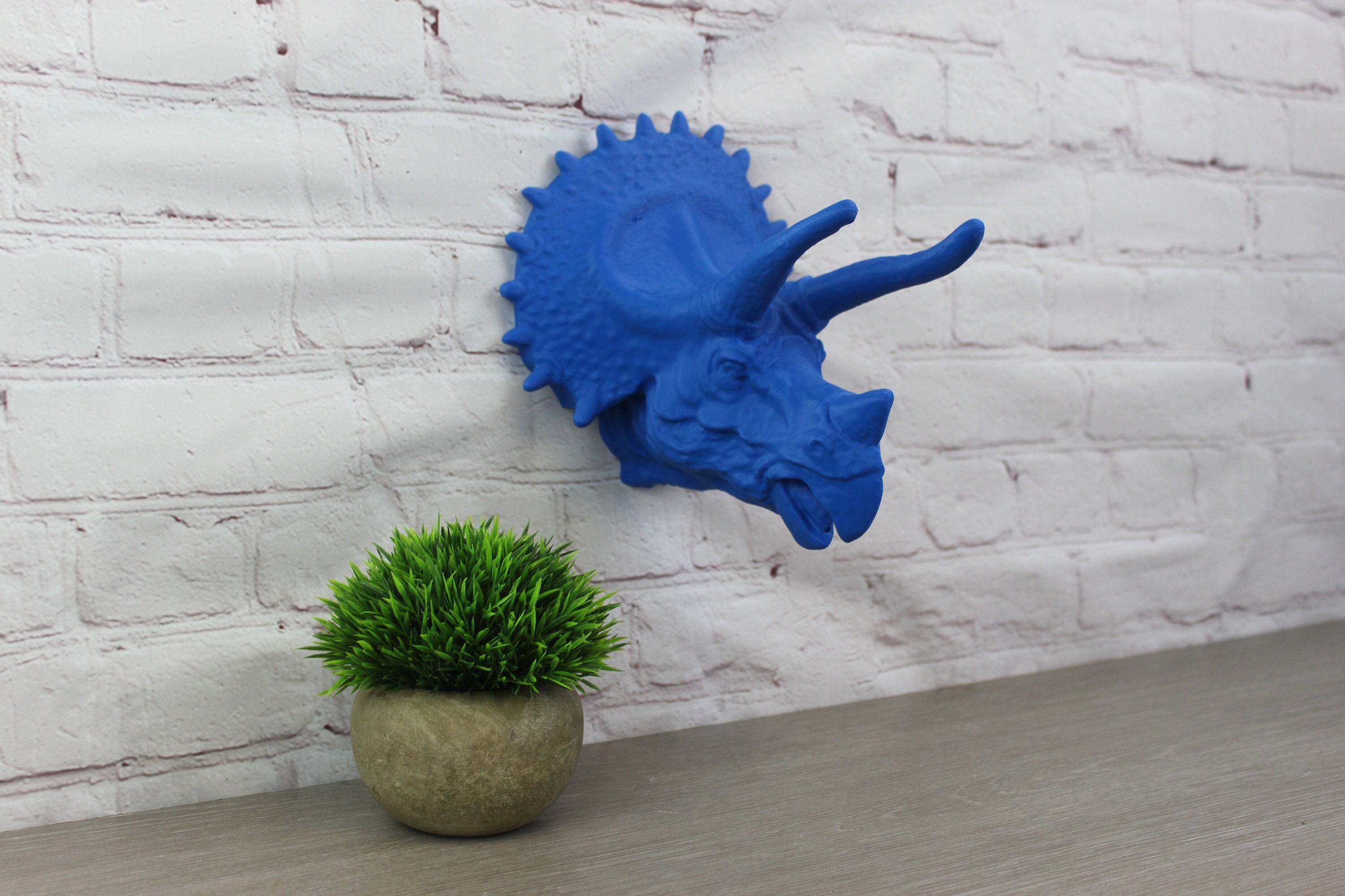 Medium Detailed Triceratops Wall Head Modern Decor