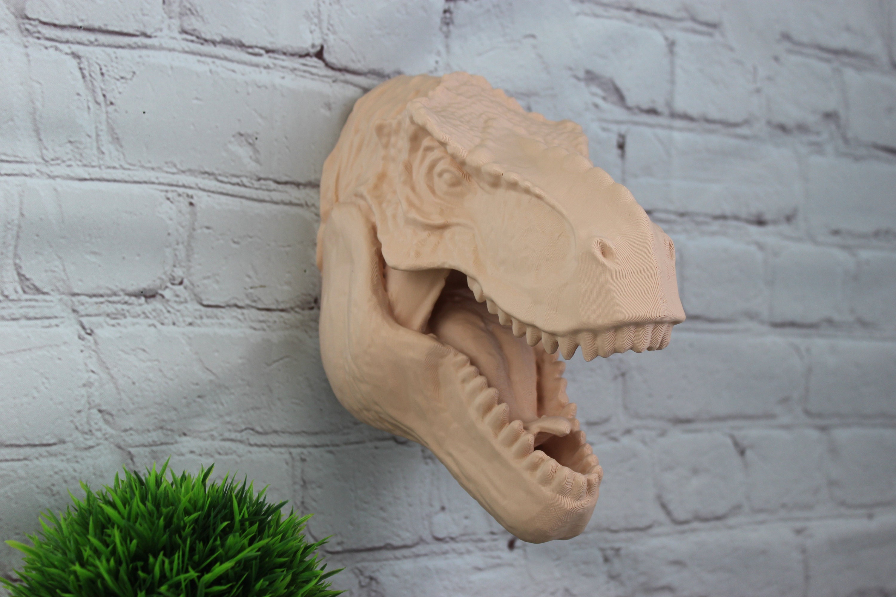 Medium Detailed Tyrannosaurus Rex Wall Head Modern Decor