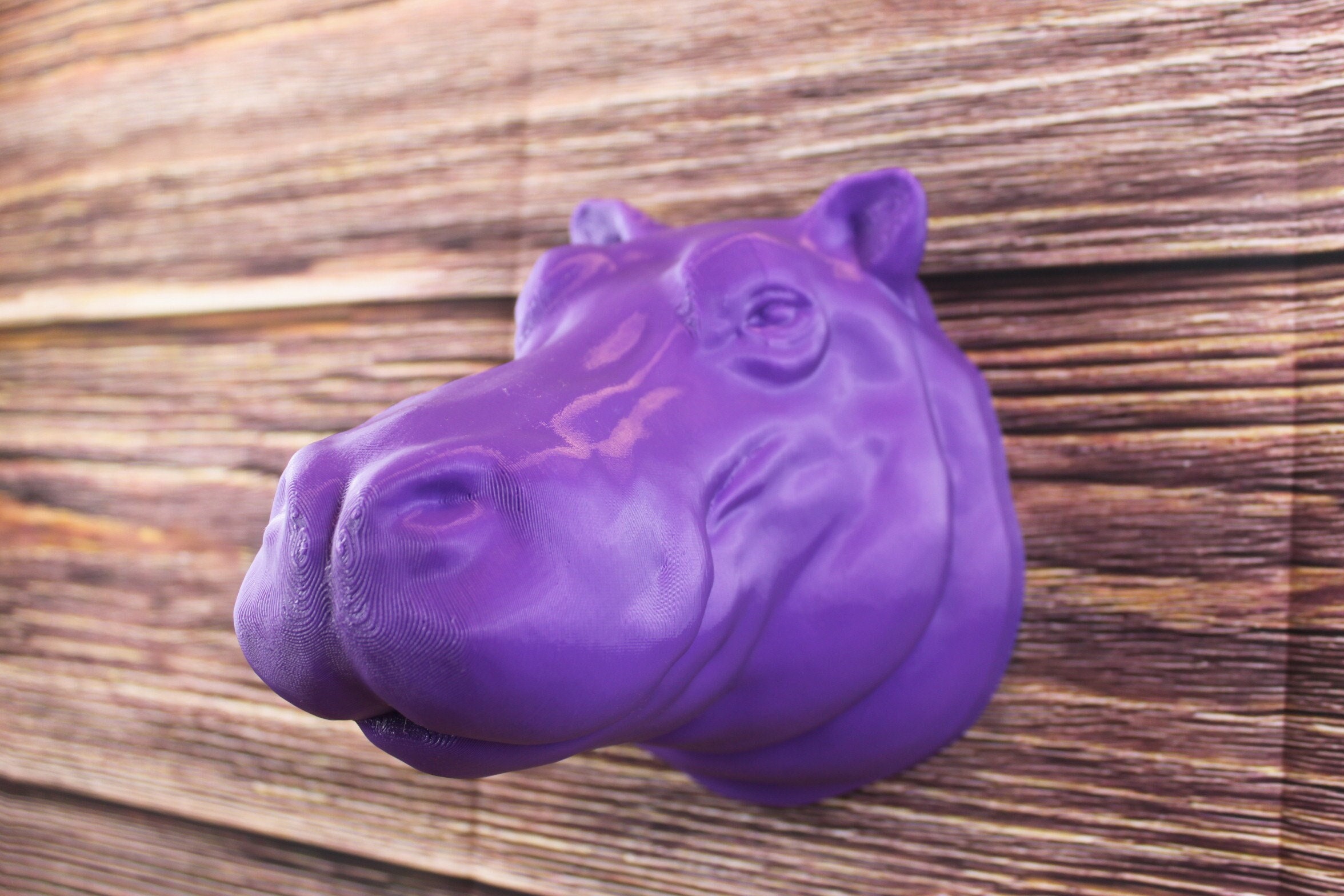 Medium Hippo Wall Hanging Art Decoration Display Piece