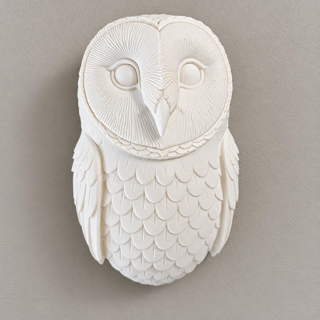 Barn Owl Wall Decor