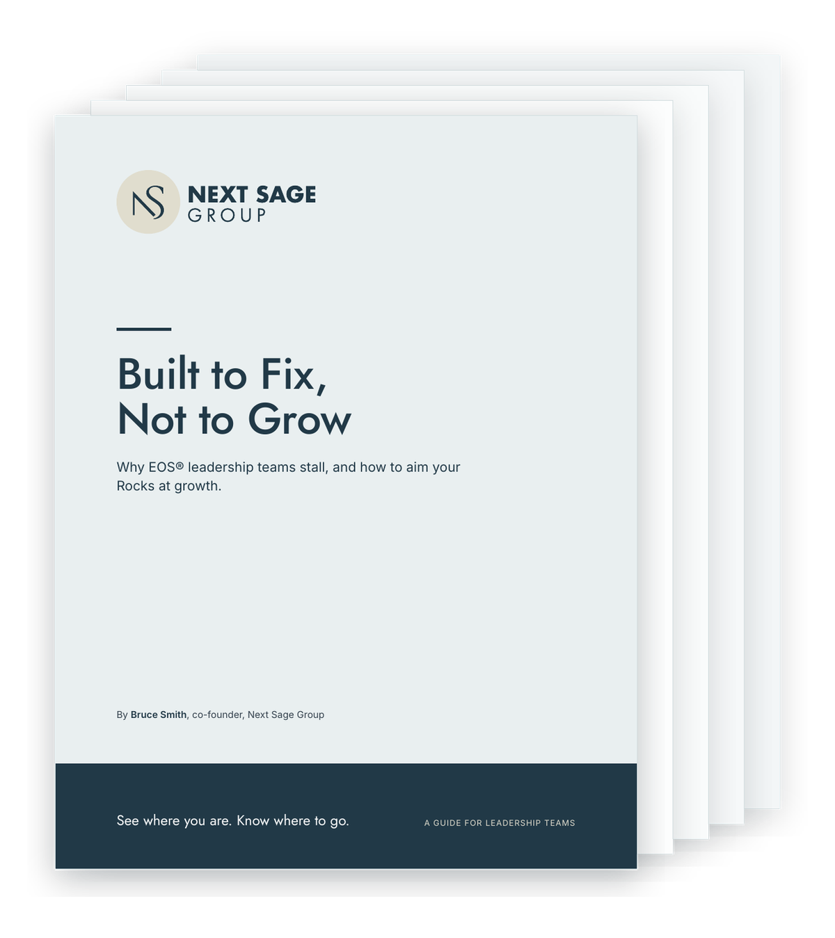 Built to Fix, Not to Grow: the cover and first pages of the Next Sage Group guide