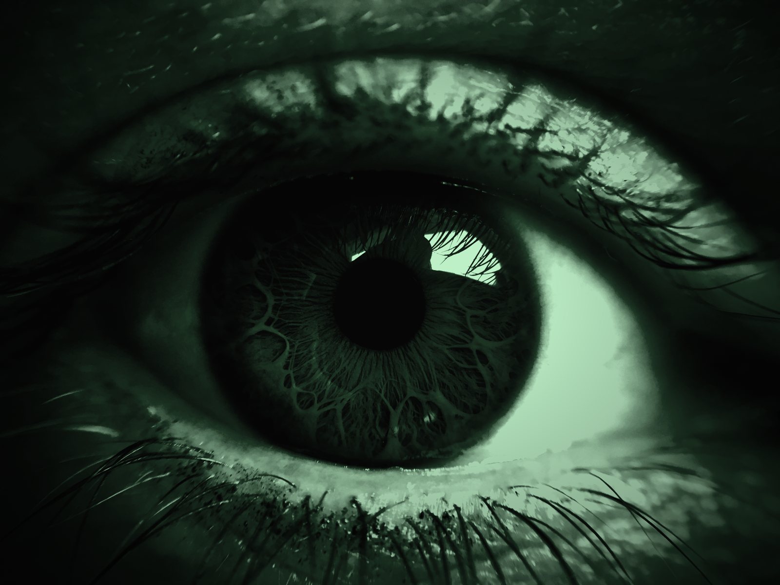 Close-up of a human eye, in dark green tones