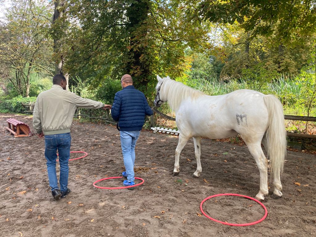 Coaching, Actions sur site & Valorisation