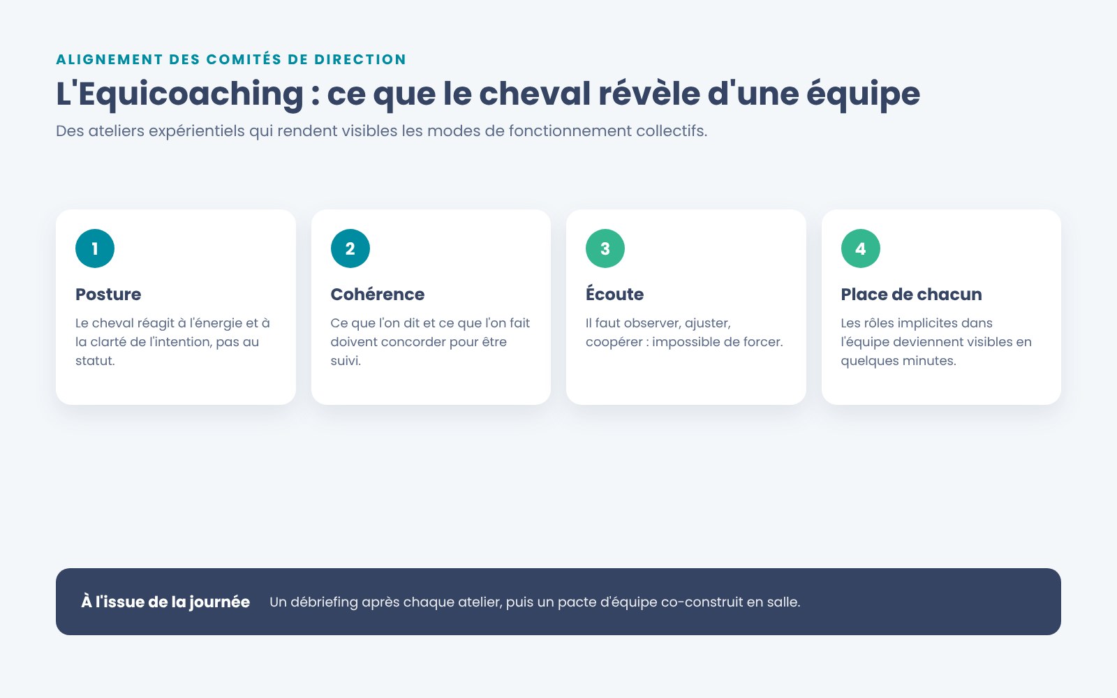 L'Equicoaching, en option