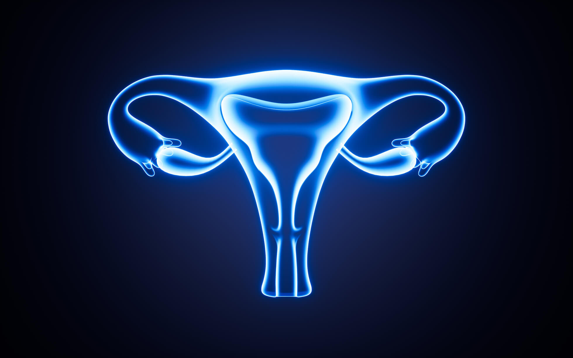 Glowing illustration of the uterus, ovaries and fallopian tubes