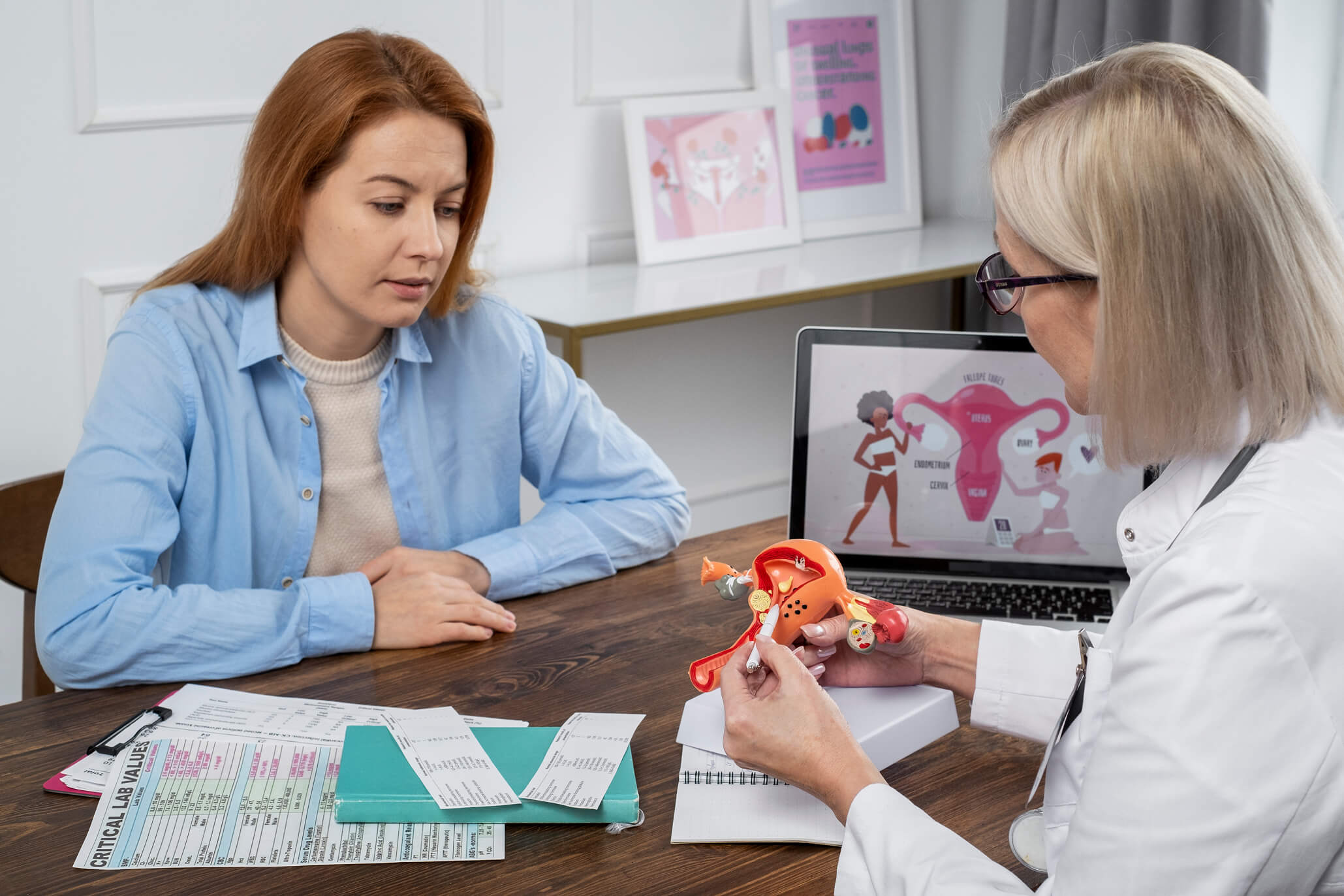 Doctor explaining a model of the female reproductive system to a patient