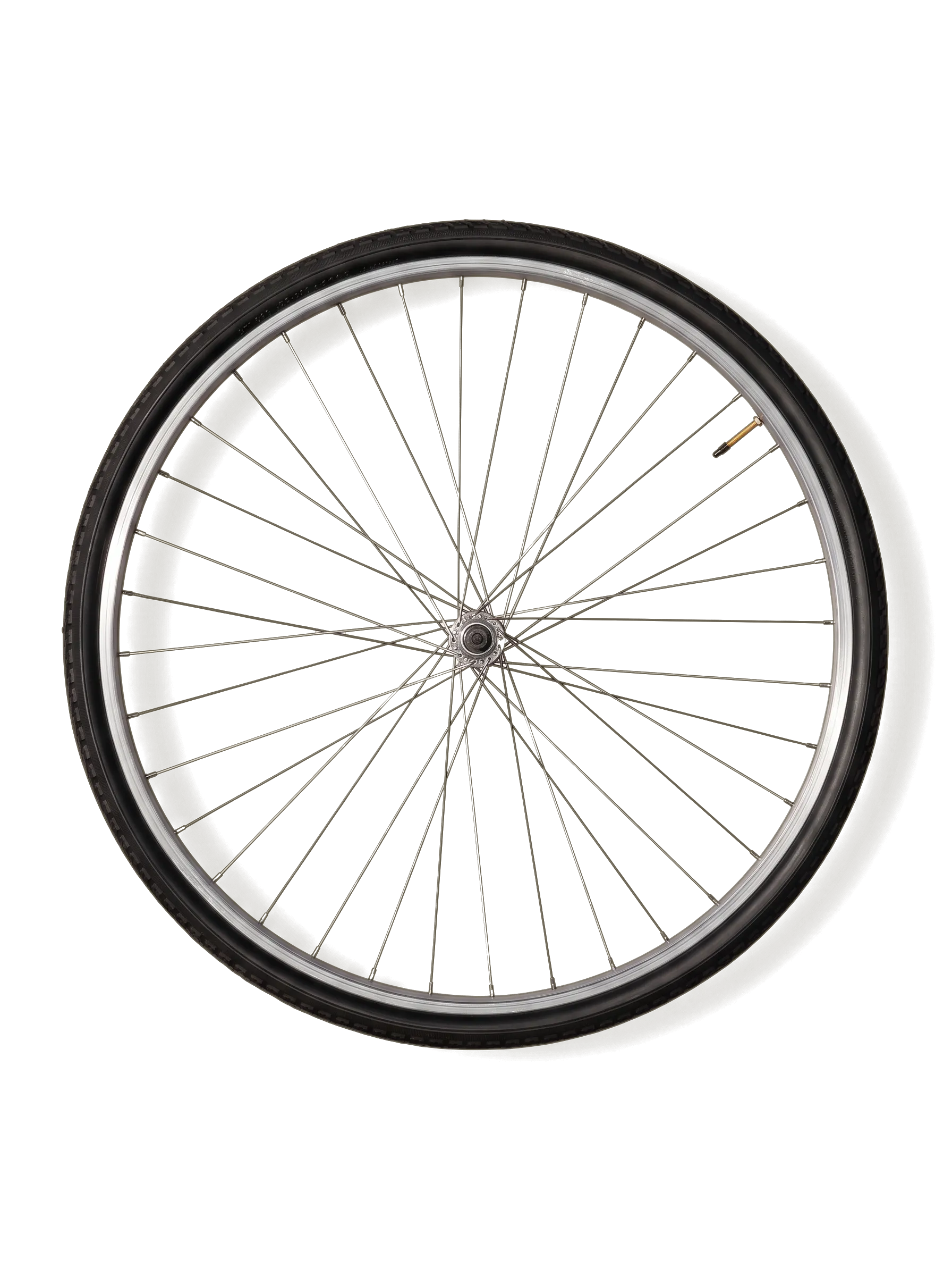 A spoked bicycle wheel