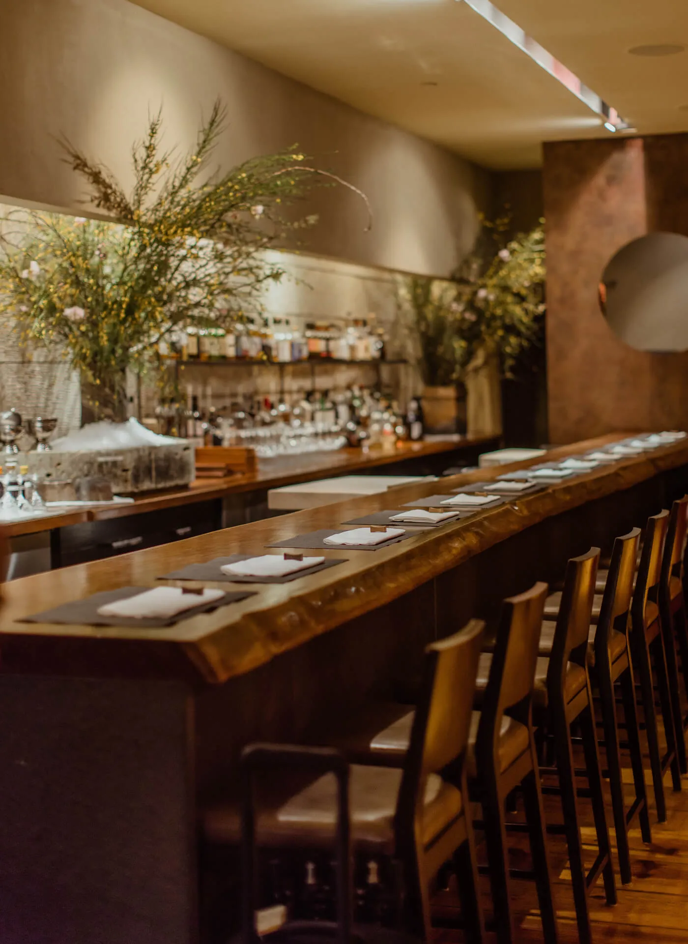 A side shot of the bar in Bar Masa.