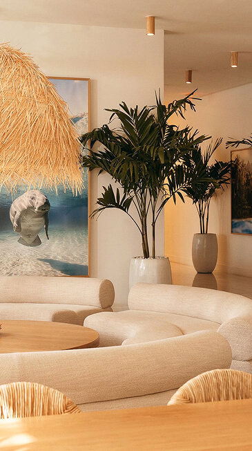 Interior space with curated art