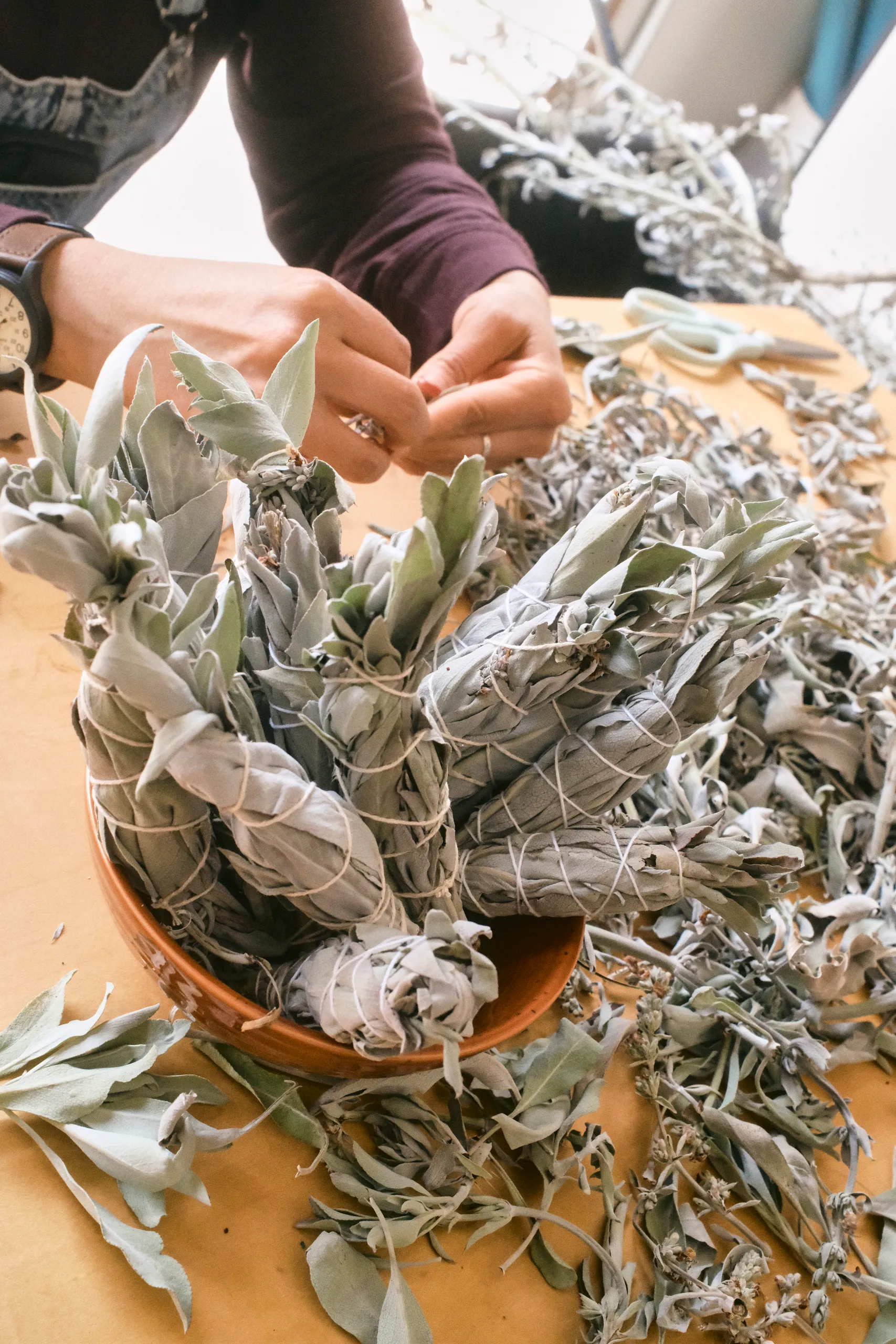Hands tying fresh white sage into bundles over a bowl on a wooden table