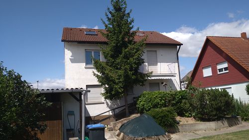 Ein Projekt wächst mit – Vorschau 2