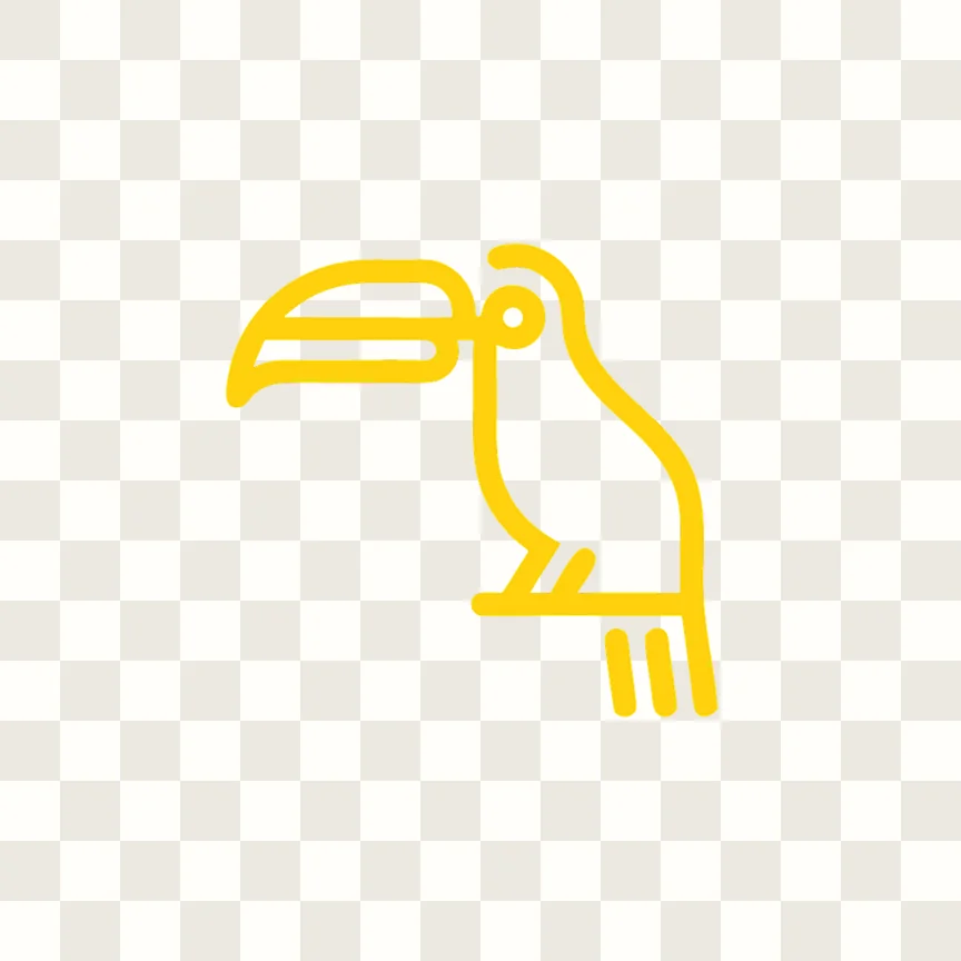 The toucan as a transparent PNG
