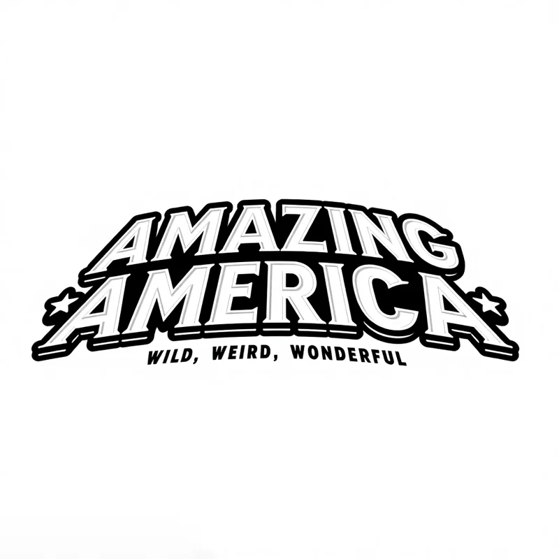 Logotype example: AMAZING AMERICA in a sans font