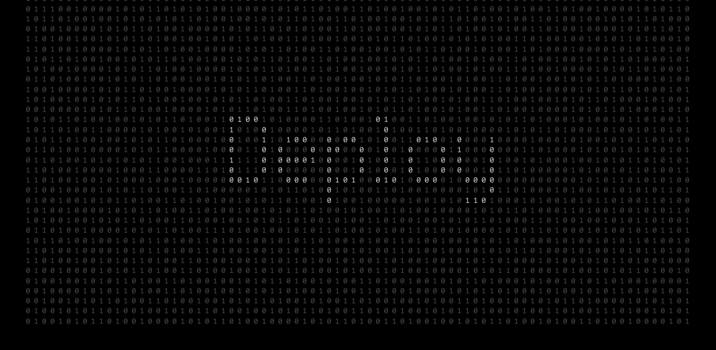 The word DEPLOY spelled out in binary code