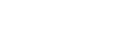 LVLS logo