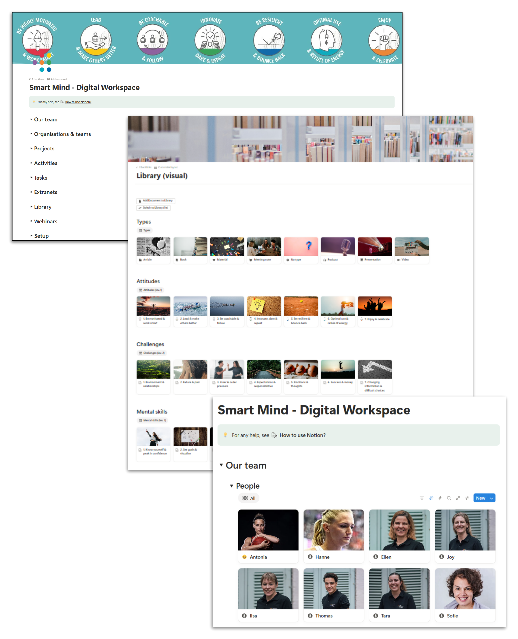 Screenshots case Smart Mind