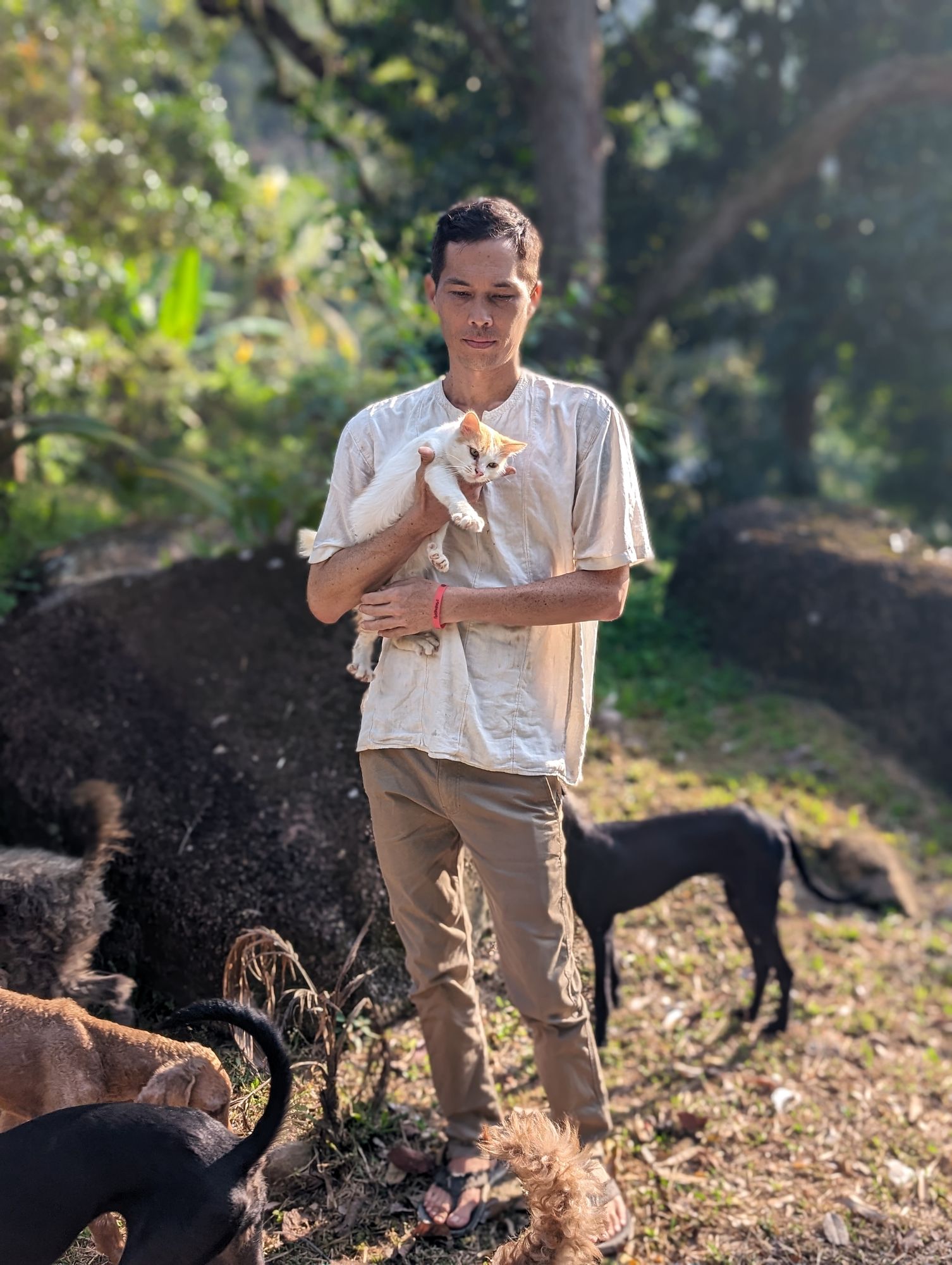 Gene Eu holding a kitten in morning light on his Malaysian farm