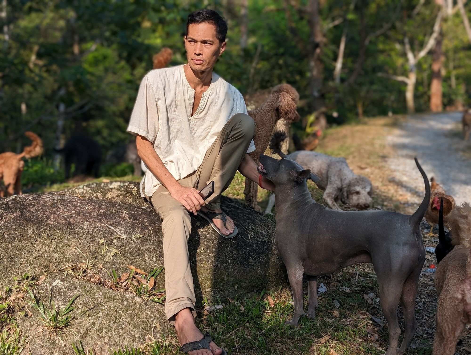 Portrait of farm consultant Gene Eu seated on a boulder with his dogs in Malaysia