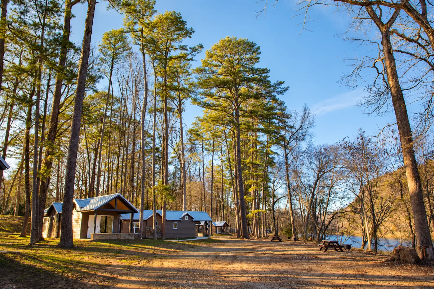 Reference-based illustration of riverside cabins and pine trees at Beavers Bend State Park