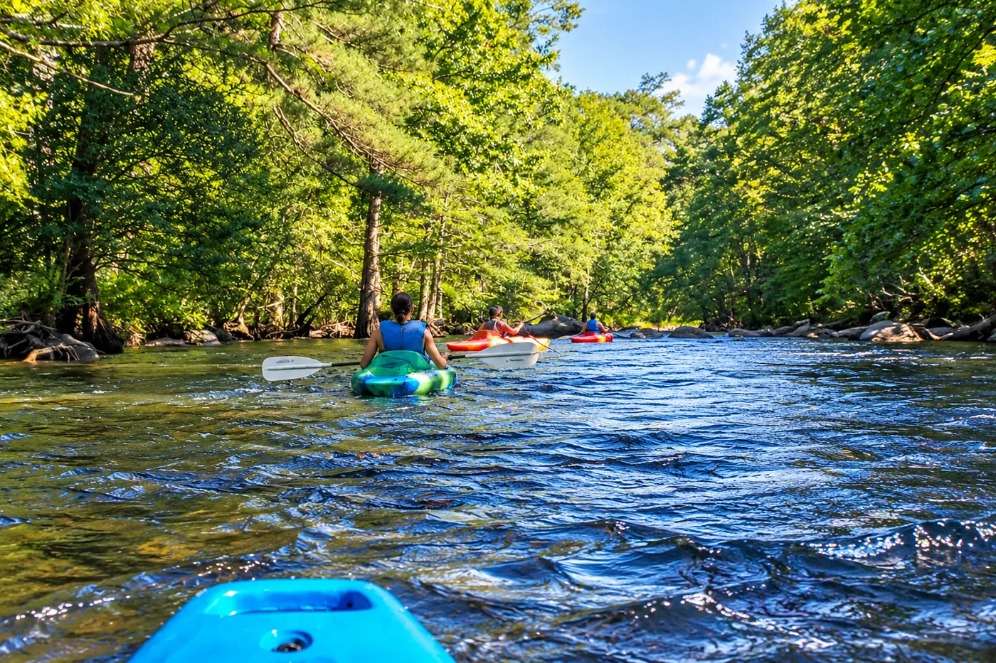 Kayakers wearing life jackets on a forest-lined stretch of river