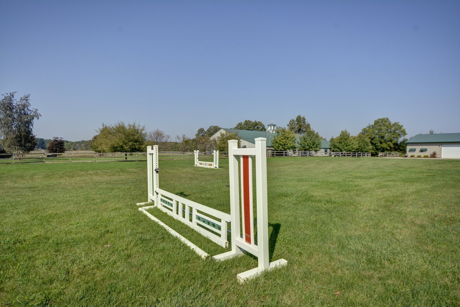 Horse jump in a pasture
